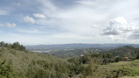 Field Video stock 142056317