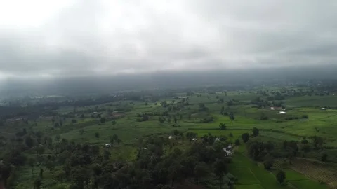 Field Stock Footage 161098910