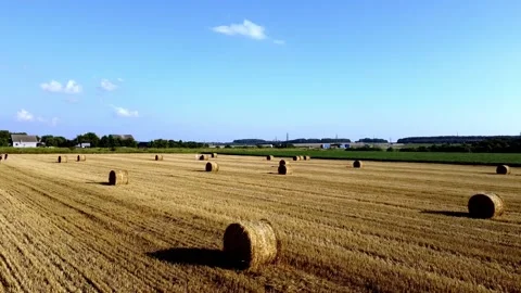 Field Stock Footage 202282133