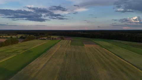 Field Stock Footage 276323882