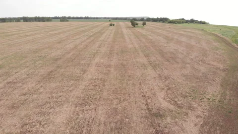 Field Stock Footage 276776450