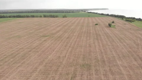 Field Stock Footage 276847517