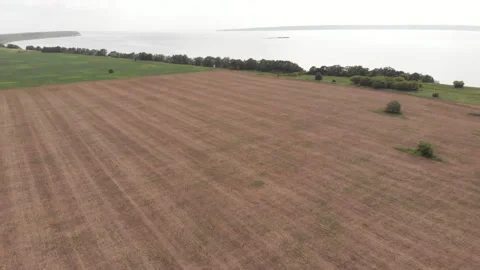 Field Stock Footage 276849119