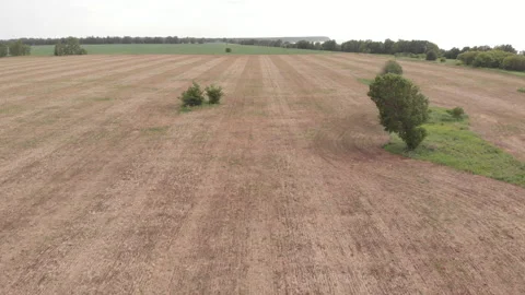 Field Stock Footage 276982727