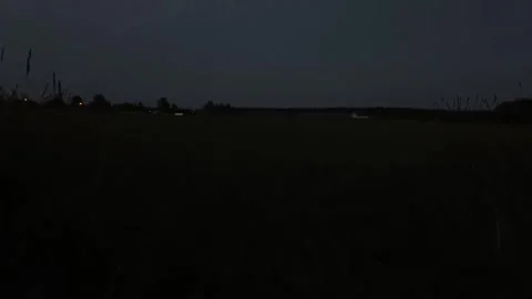 Is in the field Stock Footage 316805466