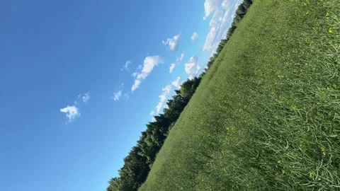 Field, forest, and sky rotate slowly counterclockwise on a sunny summer day.. Stock Footage 339854753