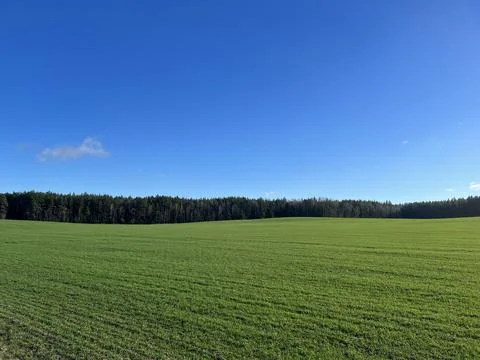 Field, forest and sky in spring Stock Photos