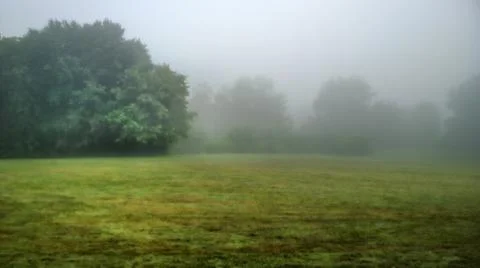 Field before a forest Stock Photos
