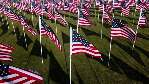 Field full of American flags waving in the wind Stock Footage 157196385