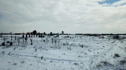 Field full of Snow in Rome Video stock 100606402