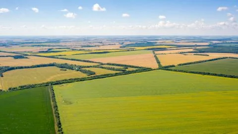 Field geometry, top view of multi-colored fields as if drawn on a ruler Stock Photos