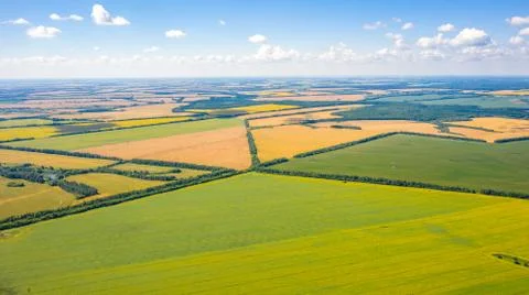 Field geometry, top view of multi-colored fields as if drawn on a ruler Stock Photos