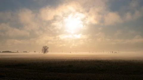 The field of gold Stock Photos