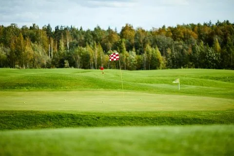 Field for golf Stock Photos