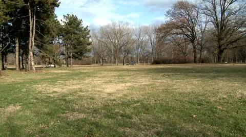 Field of grass 2 Stock Footage 10678913