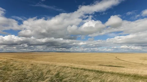Field of grass and clouds Stock Footage 105880076