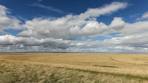 Field of grass and clouds Stock Footage 107500113
