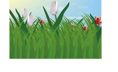 Field with grass and tulips Stock Illustration