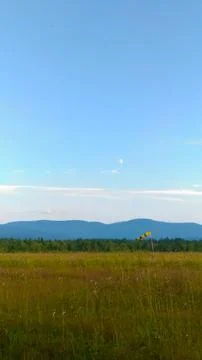 A field with grass and a wind indicator on the background of mountains. Foto stock