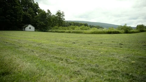 Field of grass beside a small barn with green mountains in the background 動画素材 93218853