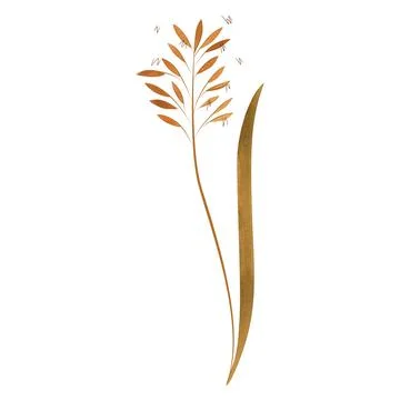 Field grass for cattle feed. Spikelet. Green branch of plant. Watercolor Stock Illustration