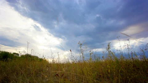 Field with a grass clouds. Motorized slider shot in 4K 4096x2304 Stockbeeldmateriaal 52965188