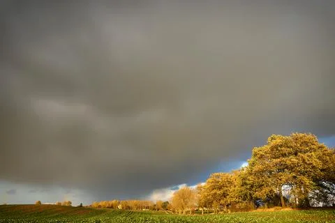 Field of grass with dramatic gray sky and clouds landscape Stock Photos