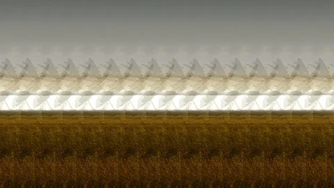 Field grass on evening sky Stock Footage 122001850