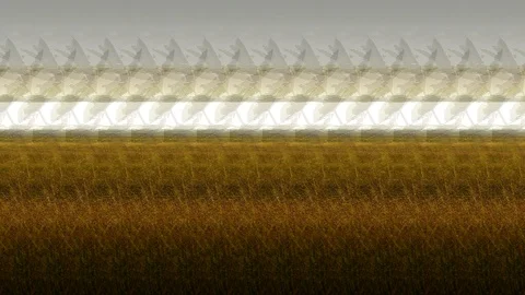 Field grass on evening sky Stock Footage 122001872
