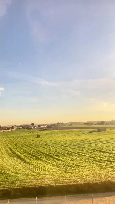 A field of grass with a few trees in the background. The sky is clear and blue Vídeo Stock 331118610