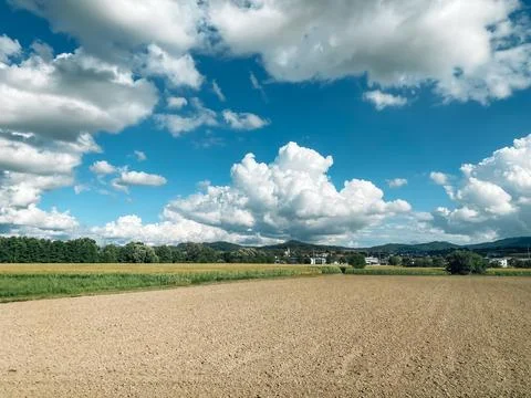 Field of grass with a few trees in the background Stock Photos