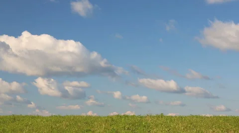 Field of grass Stock Footage 67693232