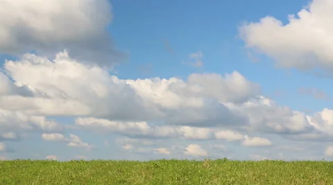 Field of grass Stock Footage 67694524