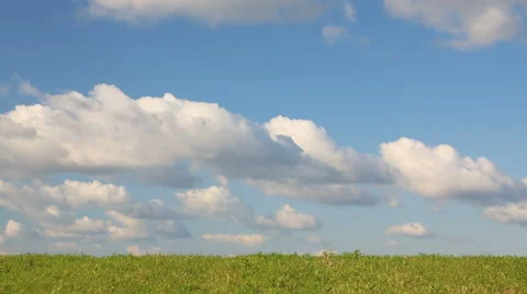 Field of grass Stock Footage 67695795
