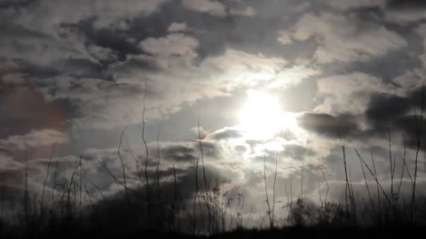A field of grass Stock Footage 129579106