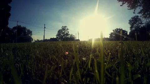 A Field of Grass, Low Sun Glare, Young Person Walking Stock Footage