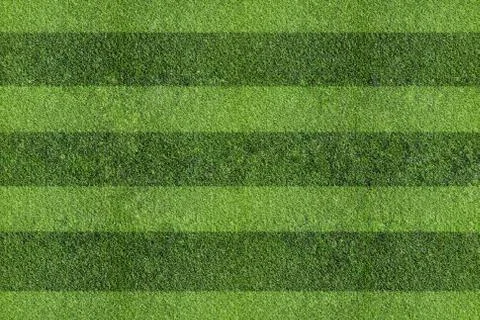 Field of grass Stock Photos