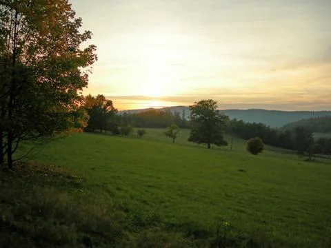 Field with grass Stock Photos