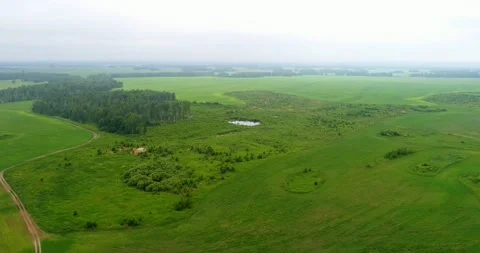 Field, grass, shrub, forest, road Stock Footage 140740803