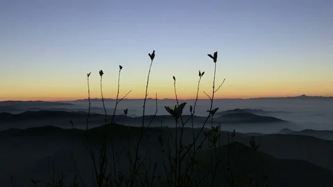 Field Grass At Sunset Stockbeeldmateriaal 75172486