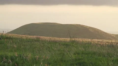 Field of grass at sunset in Hawaii Video stock 50655073