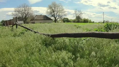Field of grass that sways in the wind Stock Footage 162166456