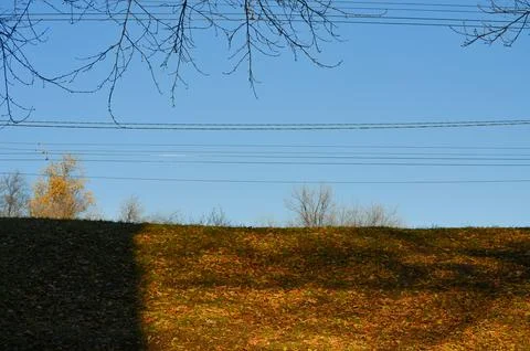 A field of grass with trees in the background and a blue sky.  Stock Photos