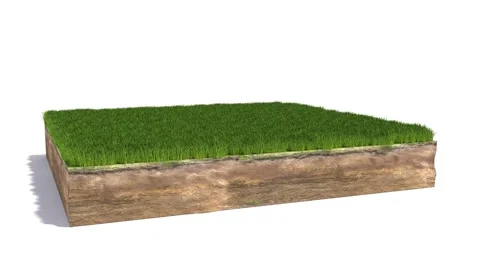 Field with grass on a white background. 3D illustration Stock Footage 141970903