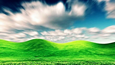 Field of green ears and cloudy sky Stock Footage 104701212