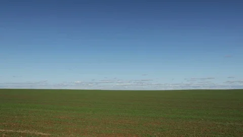 Field of green grass and sky 스톡 동영상 82387160