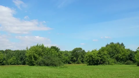 A field with green grass and trees along the edge. Stock Footage 341316869