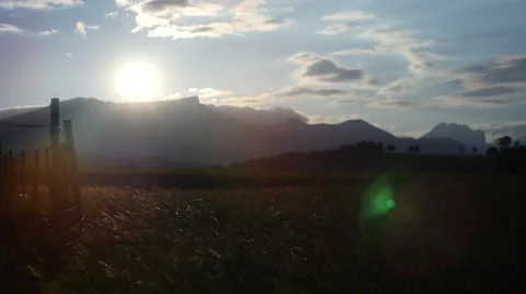 Field of green grass blowing in wind Video stock 64344221