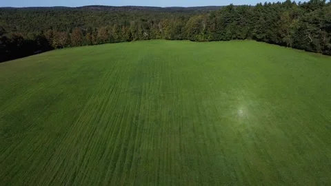 Field of green grass Stock Footage 264553771