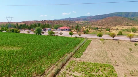Field green grass with a mountain in. Stock Footage 284676984